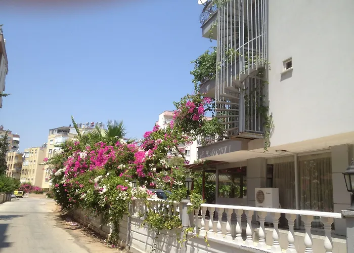 Bayindir Palme 3*