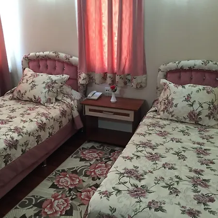 Отель Bayindir Palme 2*