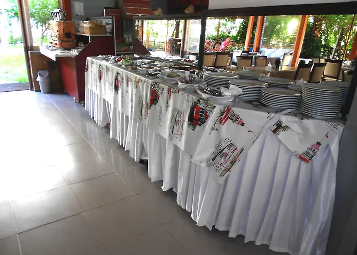 Bayindir Palme