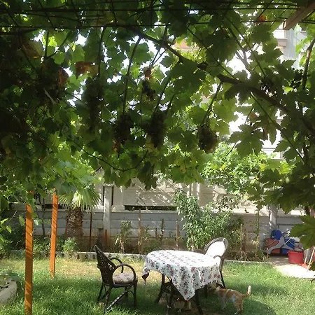 Bayindir Palme 2*